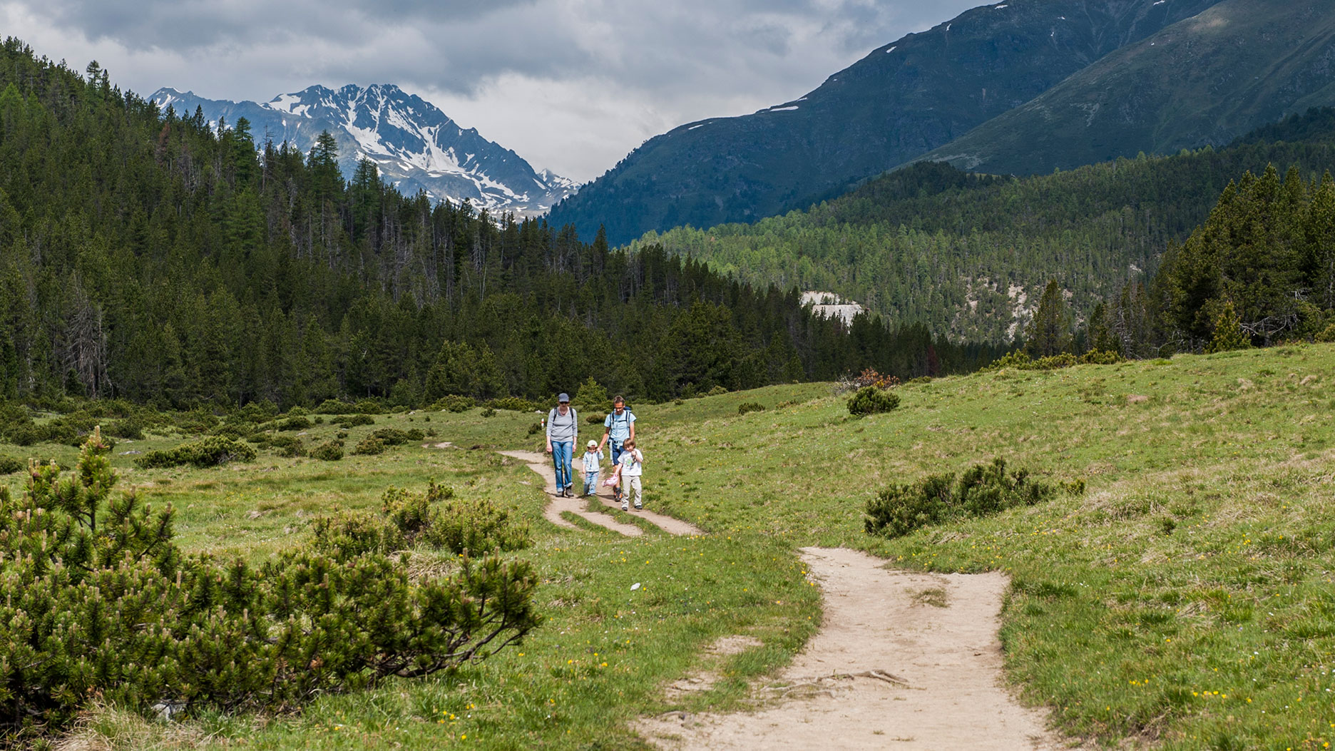 Schweizerischer Nationalpark